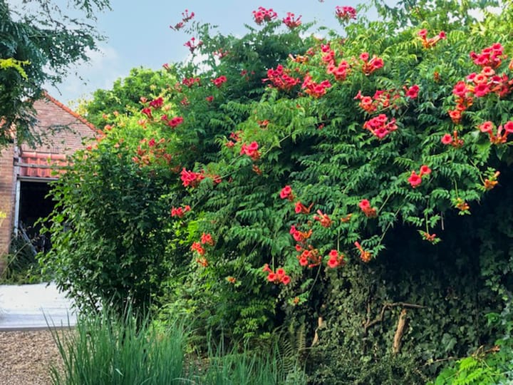 Foto 66 van Eekhoornstraat 4