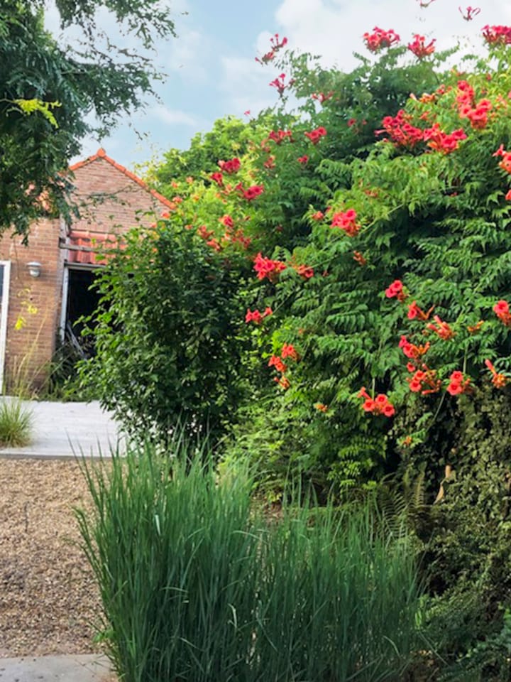 Foto 67 van Eekhoornstraat 4