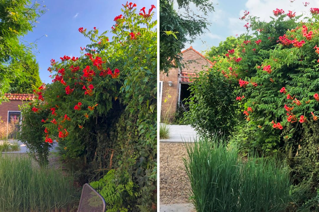 Foto 68 van Eekhoornstraat 4