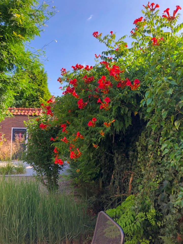 Foto 69 van Eekhoornstraat 4