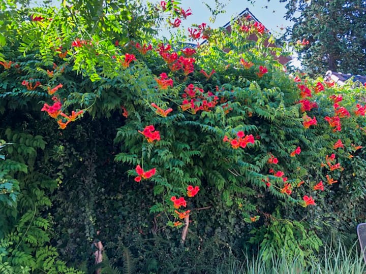 Foto 70 van Eekhoornstraat 4