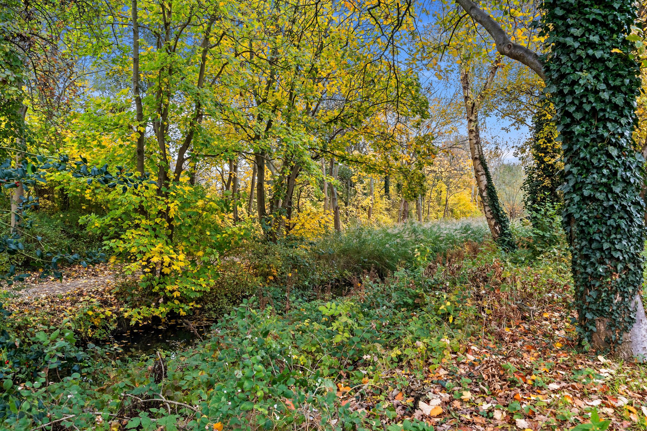 Foto 36 van Thomas Jeffersonlaan 581