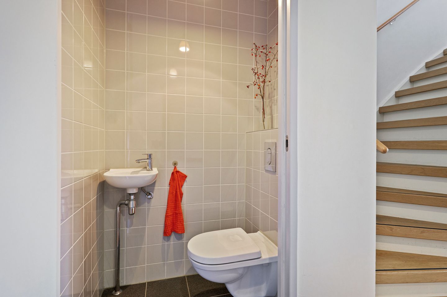 Foto 14 van Hoopende Swaen 41