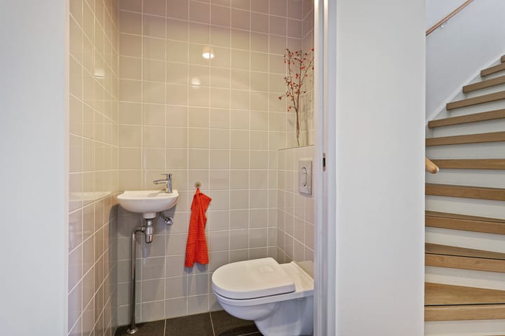 Photo 14 of Hoopende Swaen 41