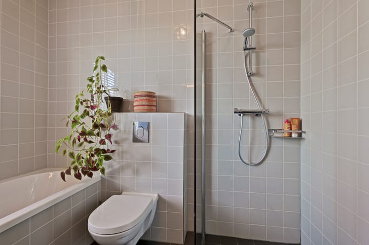 Photo 21 of Hoopende Swaen 41