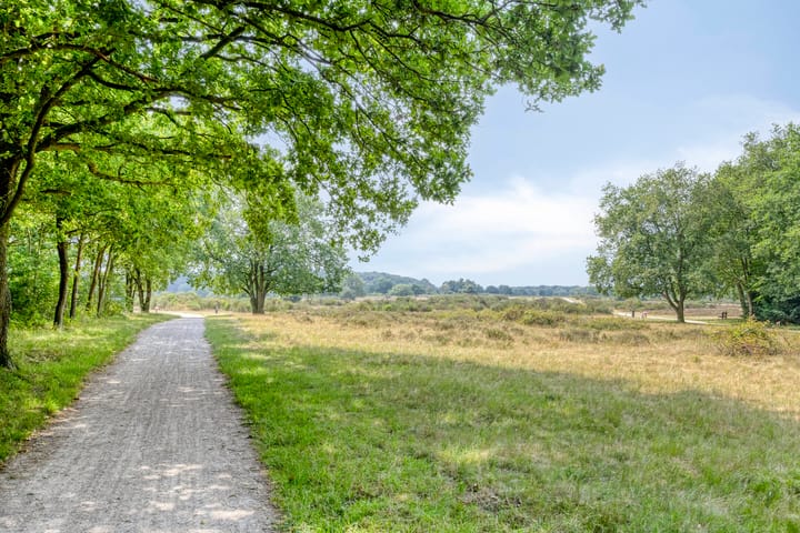 Photo 34 of Banckertlaan 257