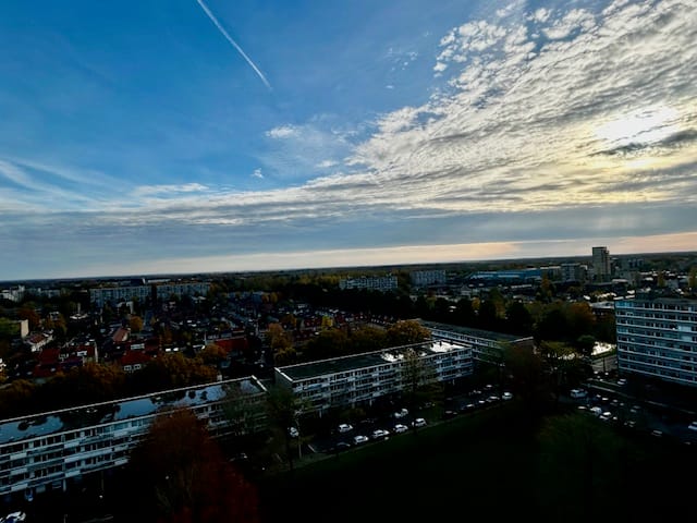 Foto 7 van Aalscholverpad 175