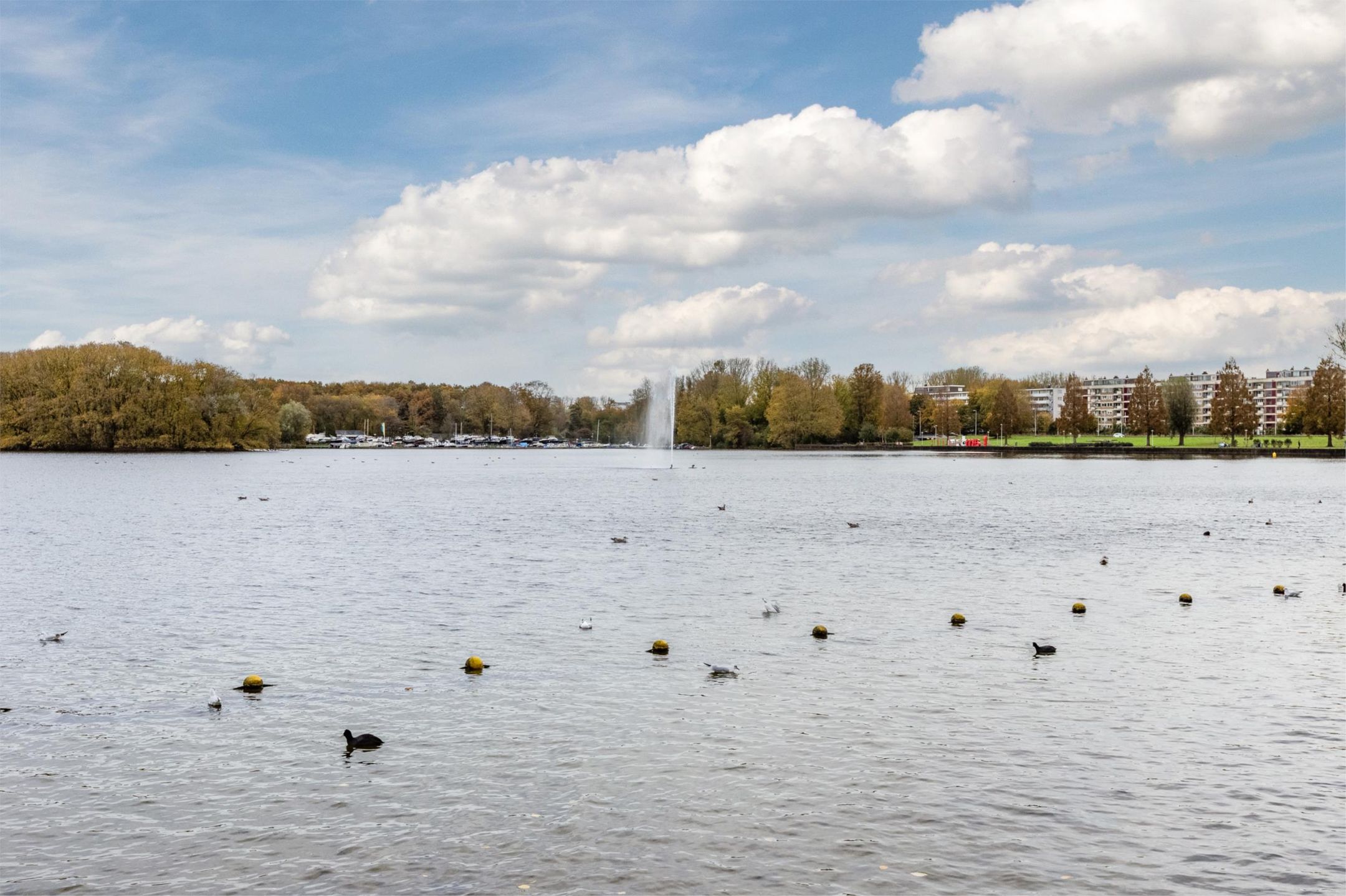 Foto 48 van Boutenburg 319