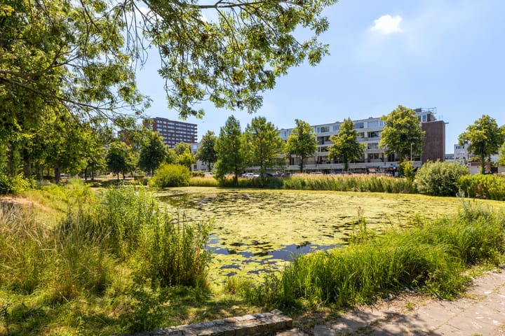 Foto 30 van Van Bijnkershoeklaan 105