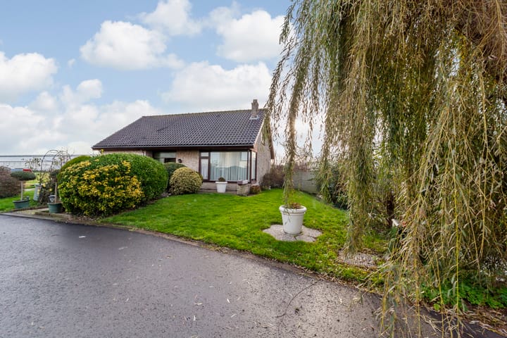 Foto 8 van Hoflaan 5