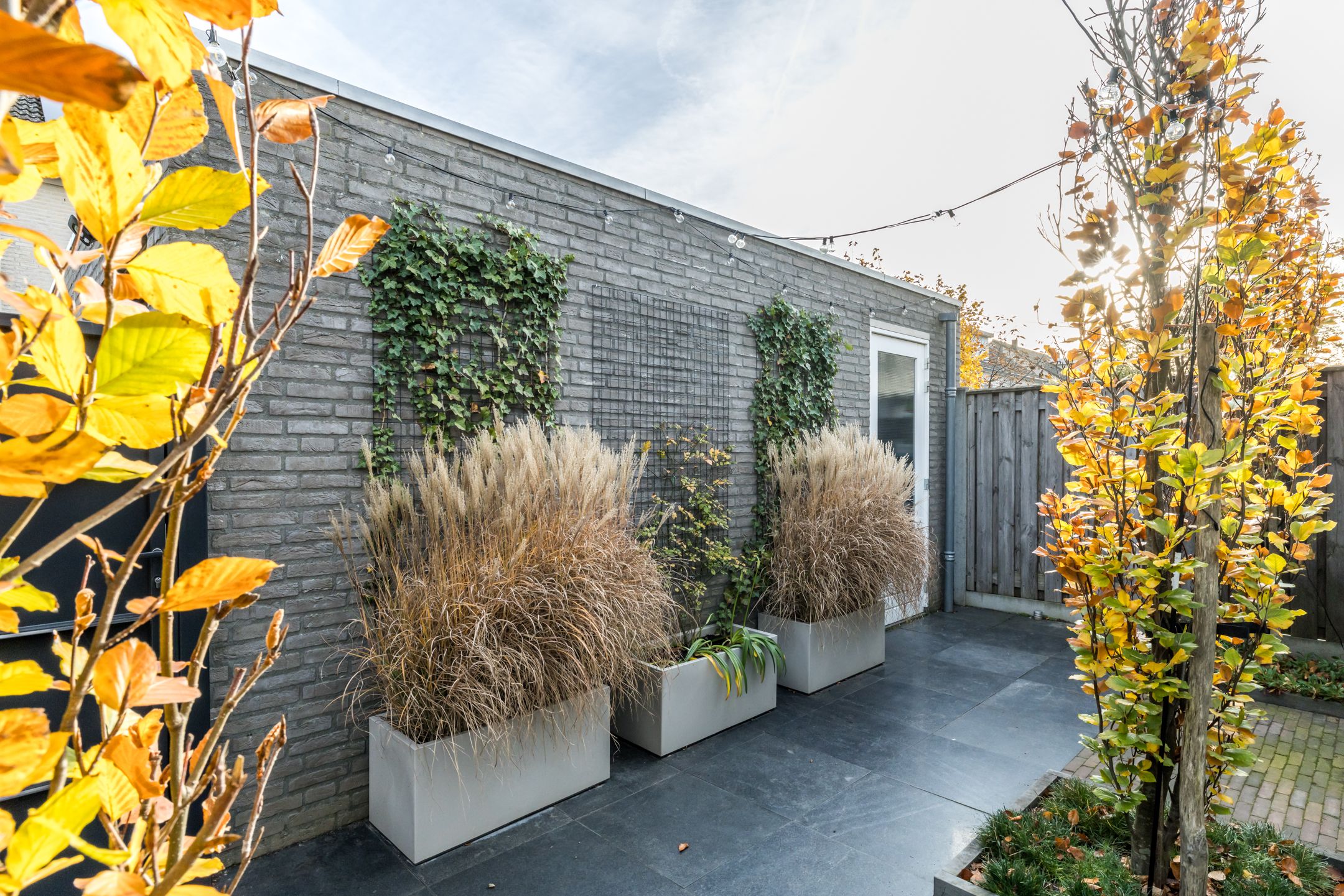 Foto 33 van Ketelbuter 1