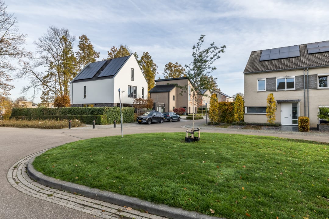 Foto 37 van Ketelbuter 1