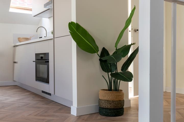 Foto 37 van Hogewoerd 131-B