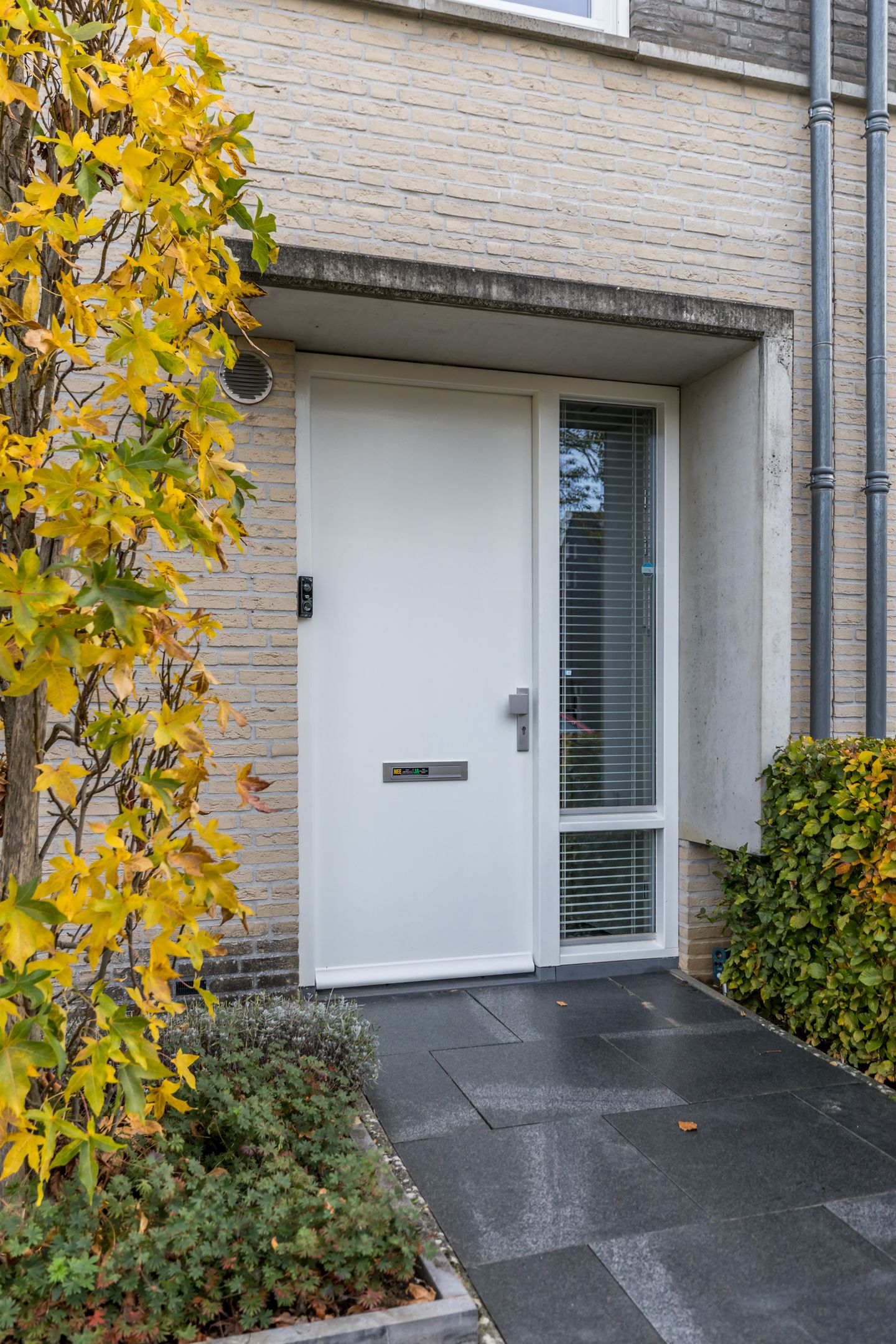 Foto 35 van Ketelbuter 1