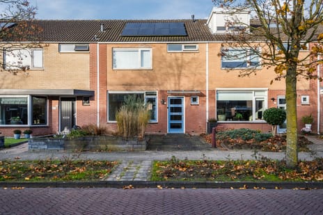 Campferbeekstraat thumbnail