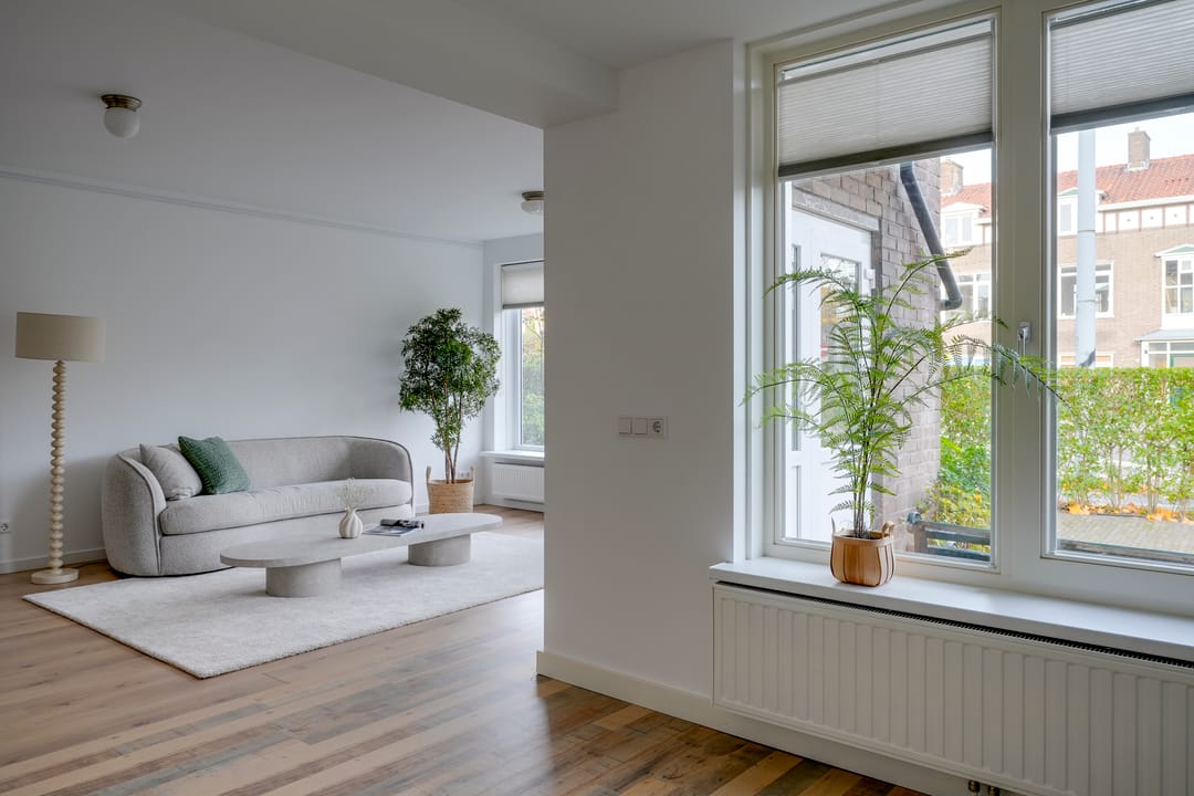 Foto 11 van David van Mollemstraat 3