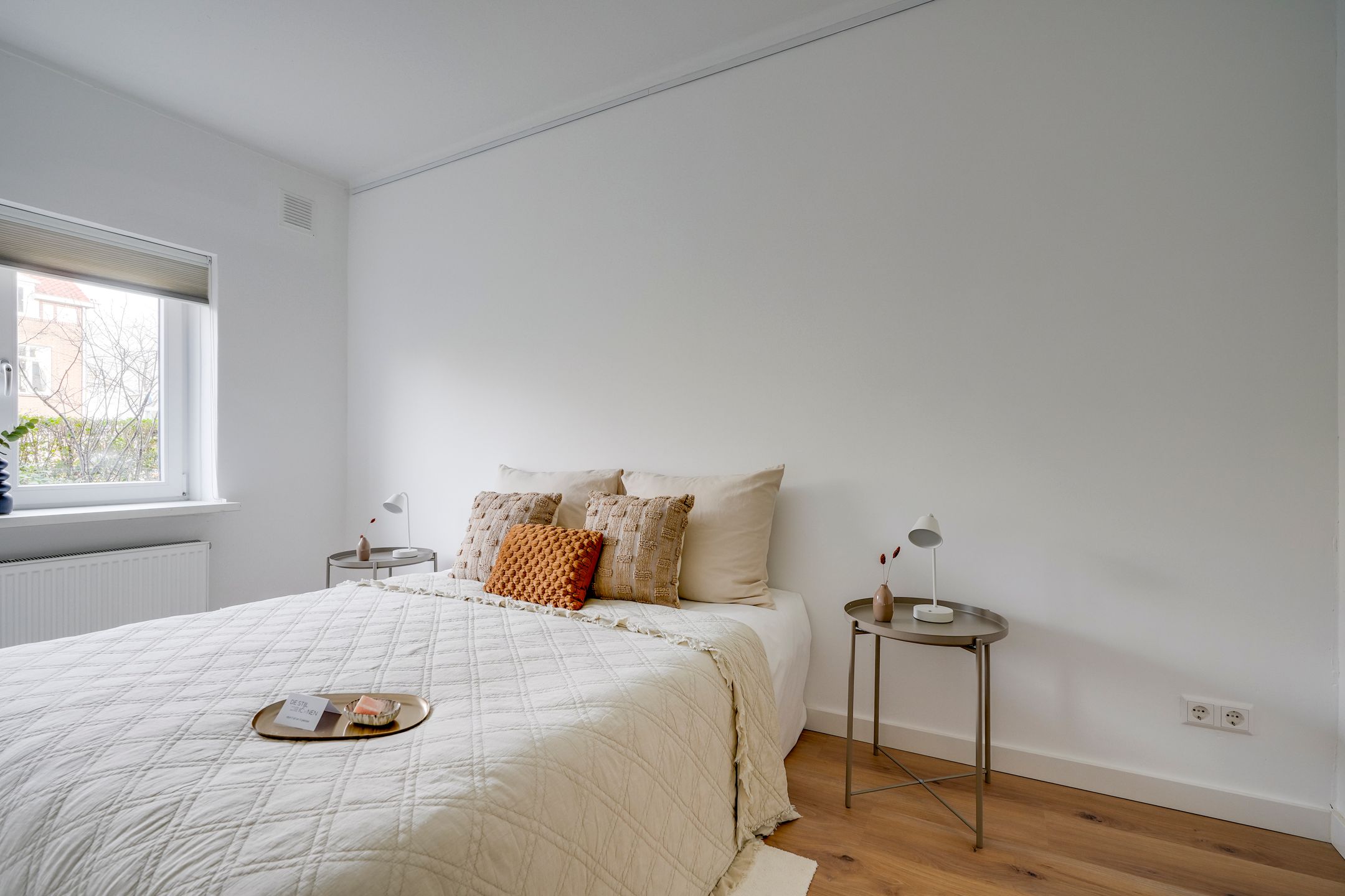 Foto 30 van David van Mollemstraat 3