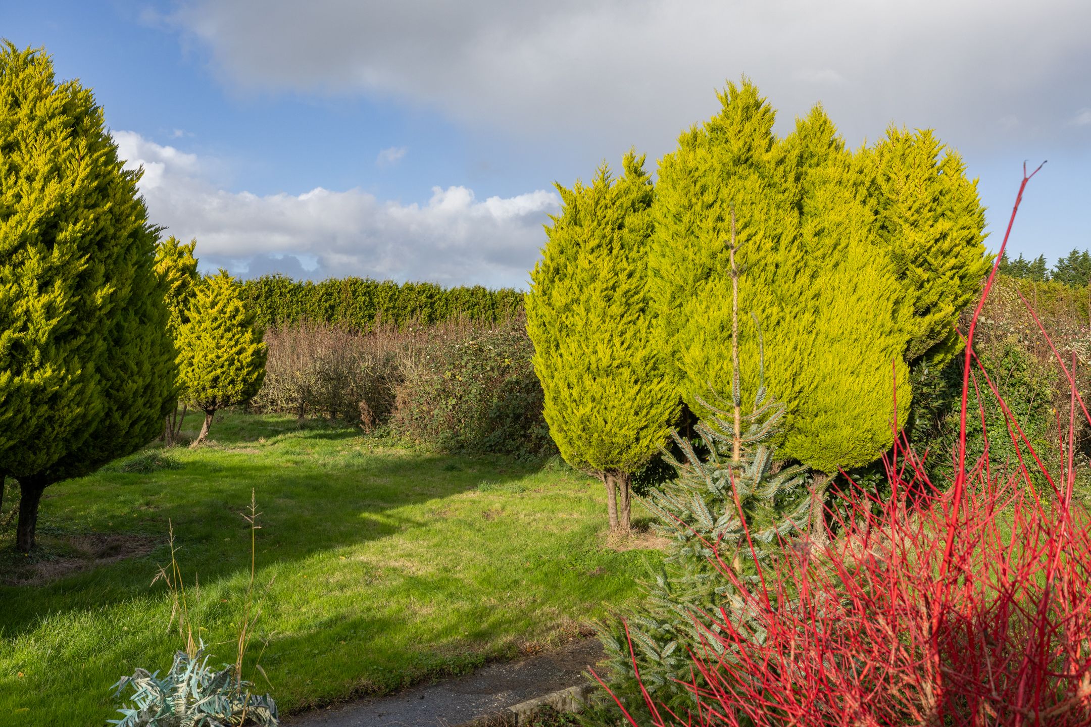 Foto 15 van Blokdijk 32