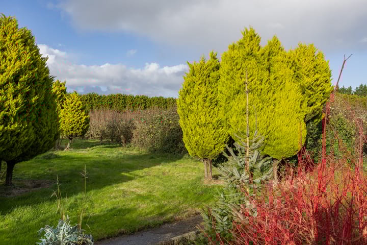 Foto 15 van Blokdijk 32