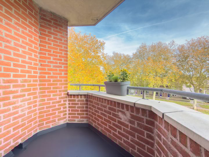 Foto 4 van Boomberg 137