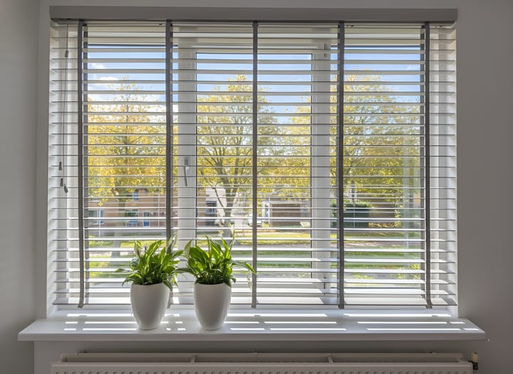 Foto 5 van Boomberg 137