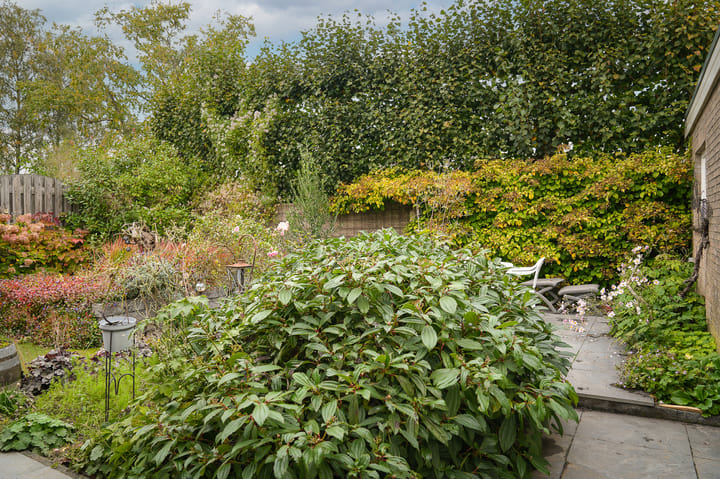 Foto 43 van Lakenstraat 16