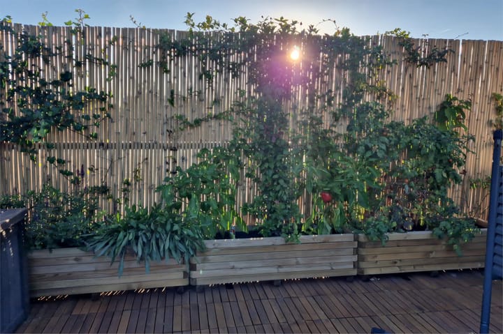 Photo 45 of Westzijde 272-N