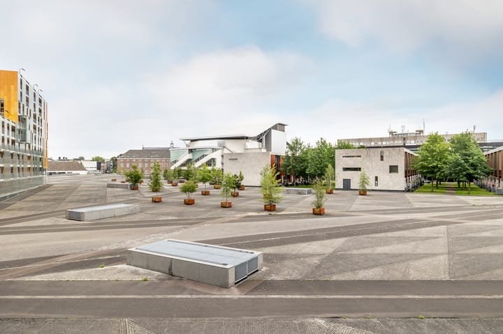 Foto 17 van Nonnenveld 433