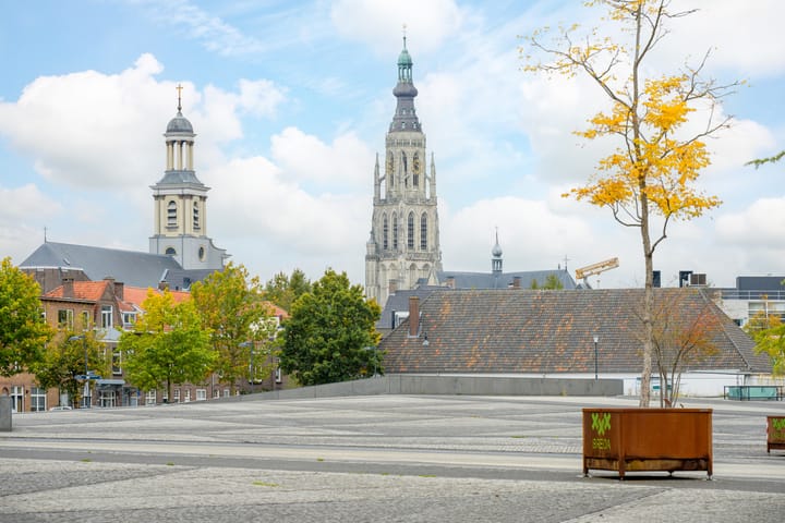 Foto 28 van Nonnenveld 433