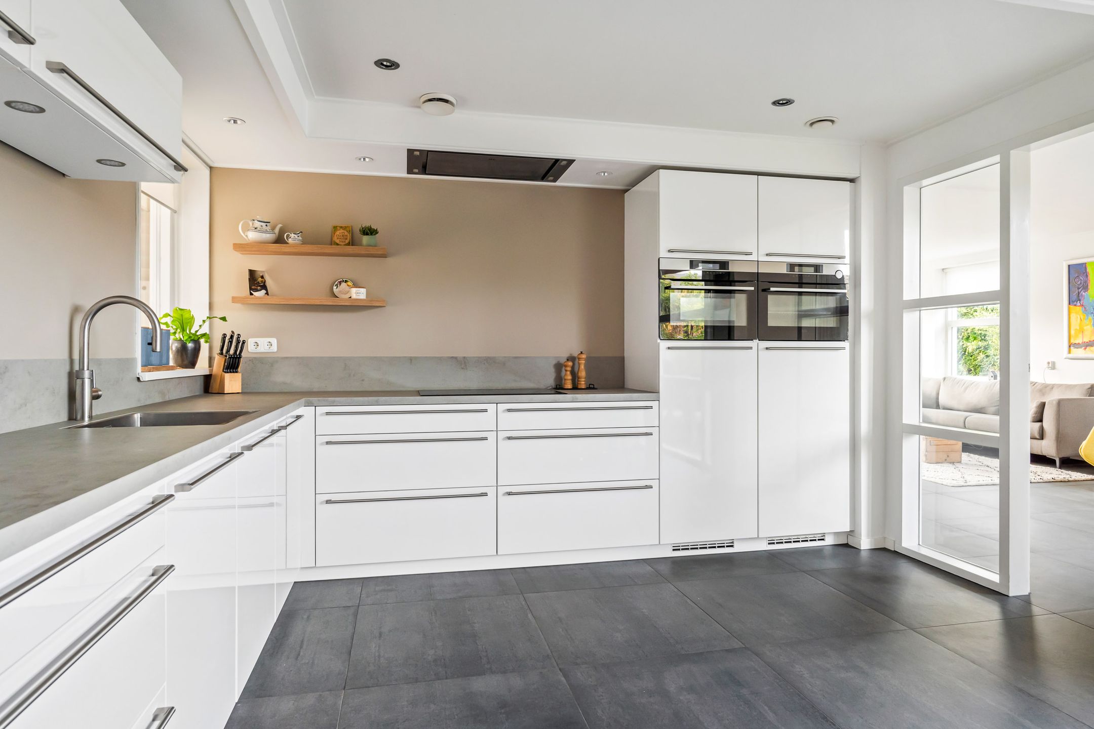 Photo 3 of Maanvogel 4