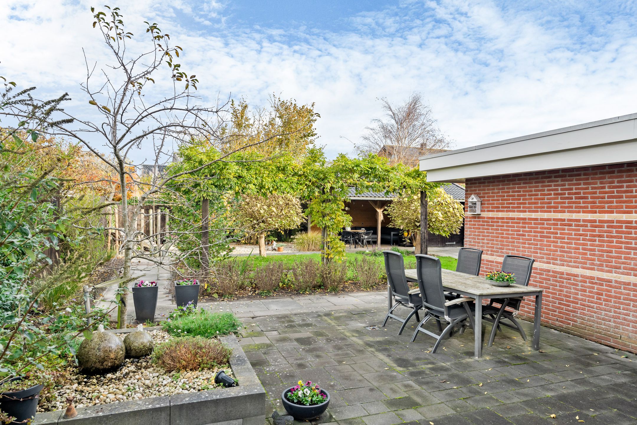 Photo 18 of Maanvogel 4