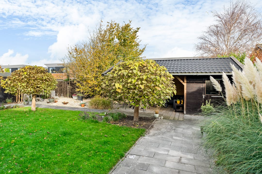 Photo 22 of Maanvogel 4