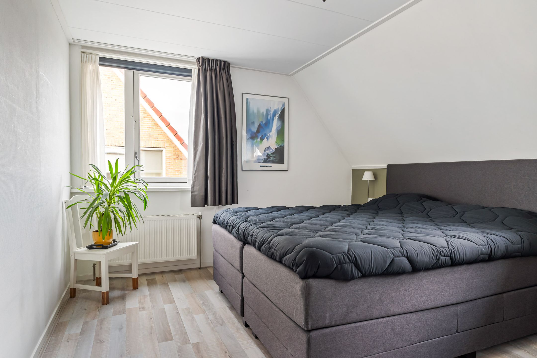 Photo 30 of Maanvogel 4