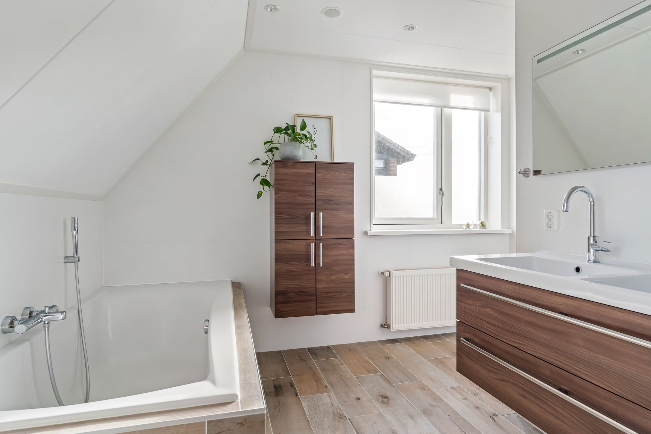 Photo 39 of Maanvogel 4