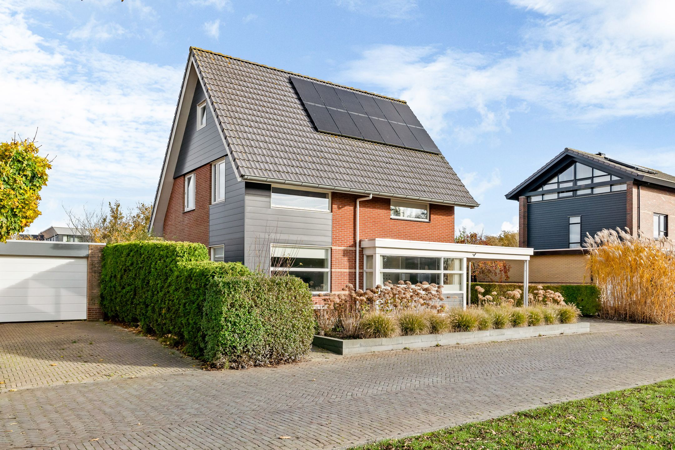 Photo 48 of Maanvogel 4