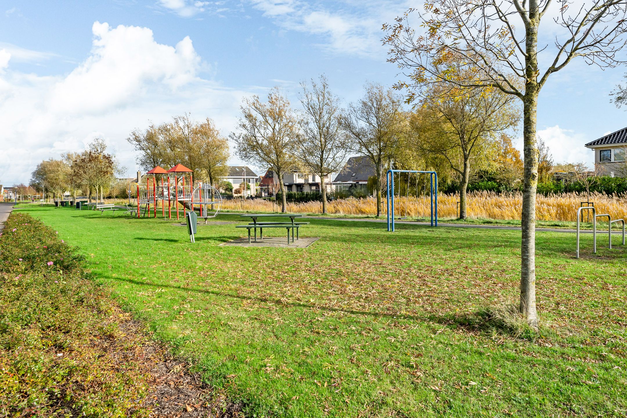 Photo 54 of Maanvogel 4