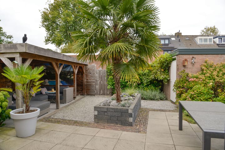 Photo 19 of Wasbeer 1