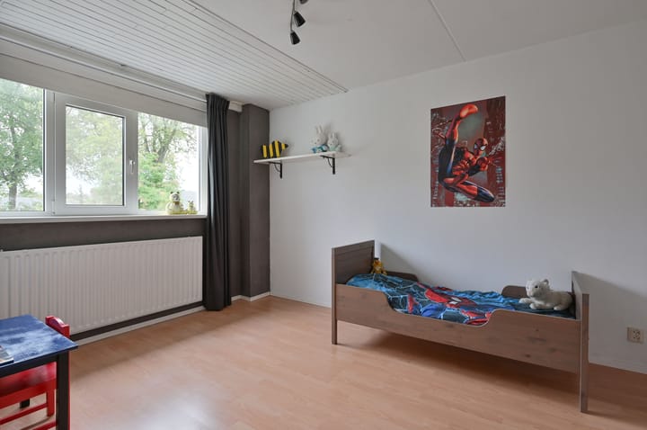 Photo 14 of Wasbeer 1