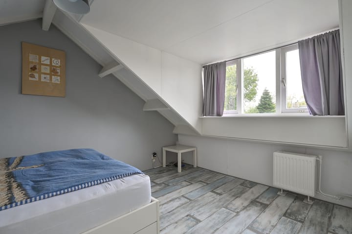 Photo 18 of Wasbeer 1