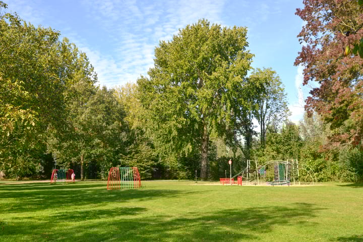 Photo 25 of Wasbeer 1