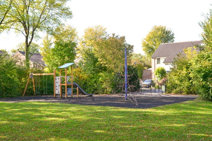 Photo 26 of Wasbeer 1