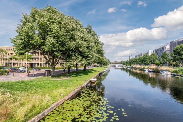 Foto 37 van Leeuwendalersweg 103