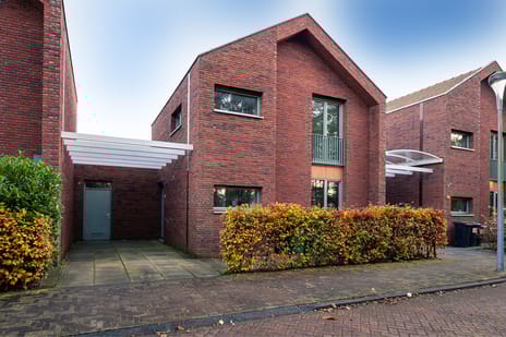 undefined main image