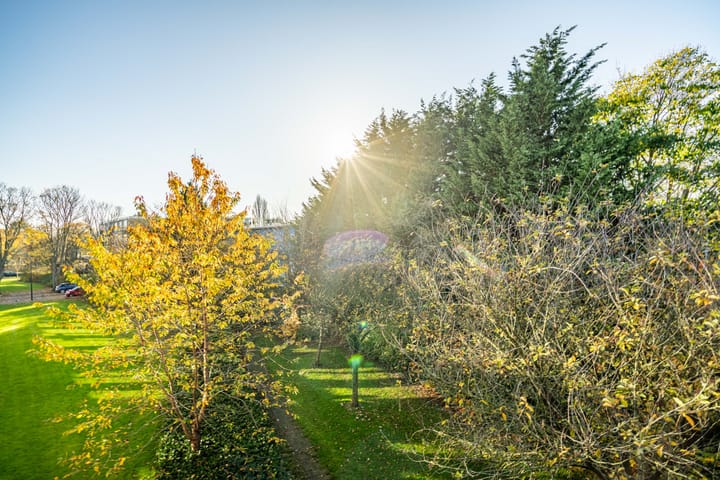 Foto 7 van Peter van Anrooystraat 57