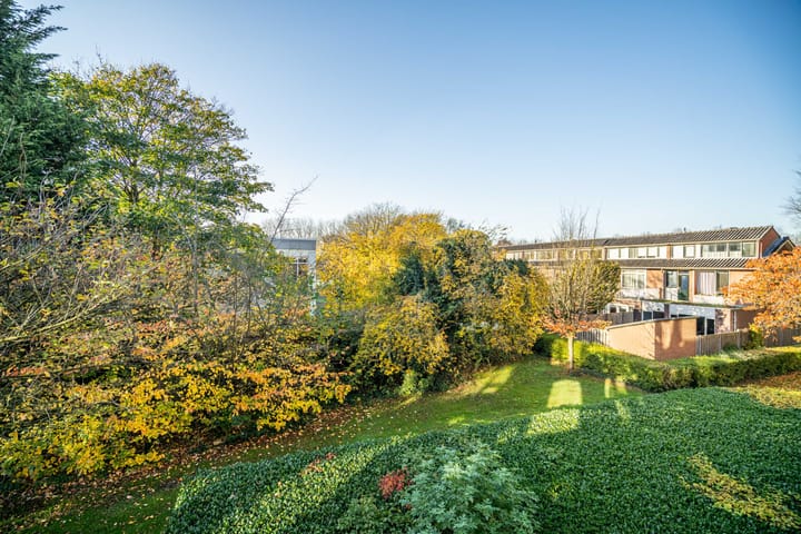 Foto 19 van Peter van Anrooystraat 57