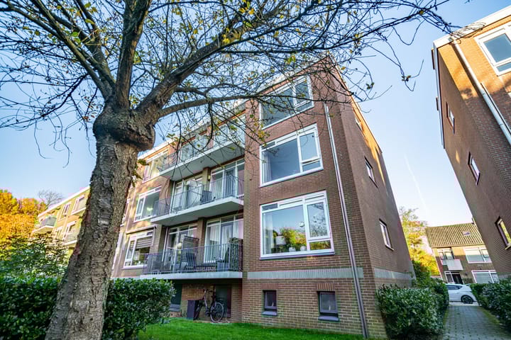 Foto 36 van Peter van Anrooystraat 57