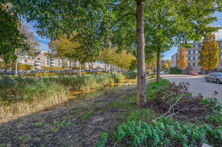 Foto 41 van Joke Smithoeve 40