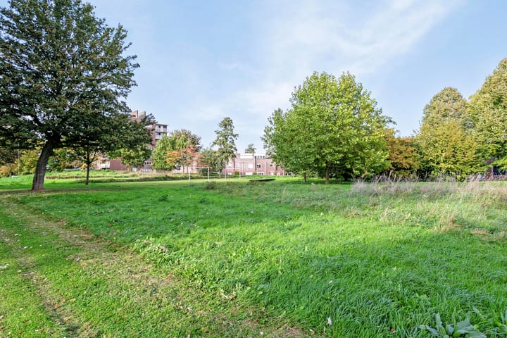 Foto 20 van Kruisboogruwe 21