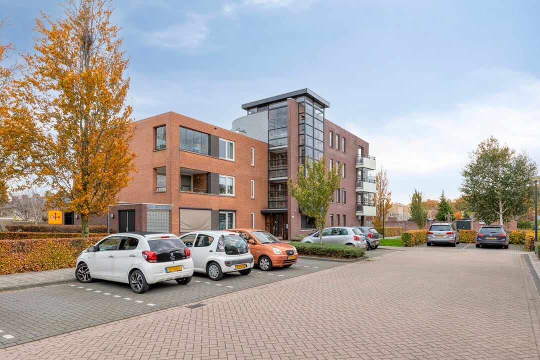 Photo 22 of Louis Paul Boonhof 49