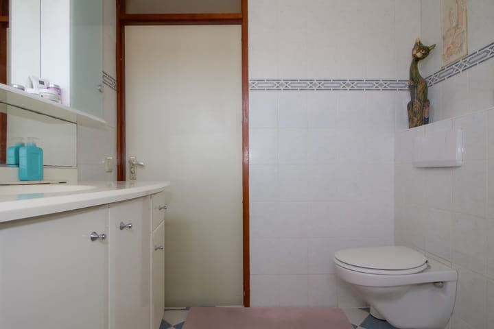 Photo 21 of Rietgans 41